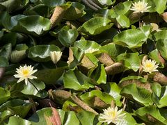 -上海市奉贤区奉城镇敬老院(洪天奉城分院)