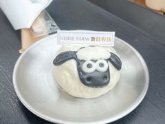 -HERRE·FARM 赫尔露营农场·团建聚会包场
