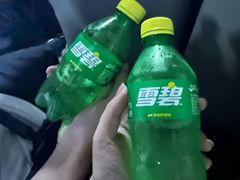 -麦新格精品酒店(上海国际旅游度假区川沙地铁站店)