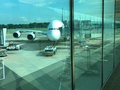 -新加坡航空公司(ION)