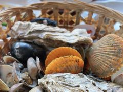 -坛南湾阿强农家乐.海鲜大排档老字号(福州地标美食店)