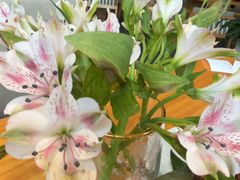 -山茶云南菜(永安里店)