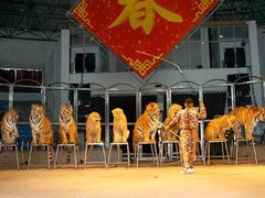 -西安秦岭野生动物园