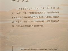 -广西民族博物馆