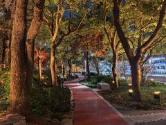 -北外滩滨江绿地