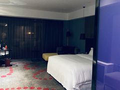 -南京禄口机场雅高铂尔曼大酒店