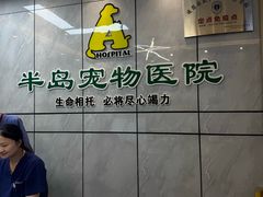 -半岛宠物医院24小时(西派城店)