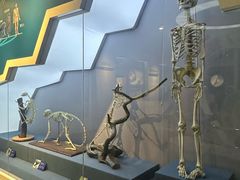 -国家自然博物馆