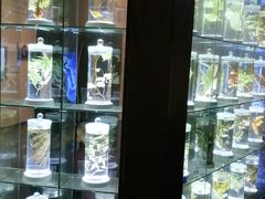 -广东科学中心