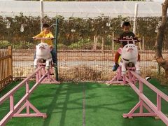 -长洲岛都市农业公园