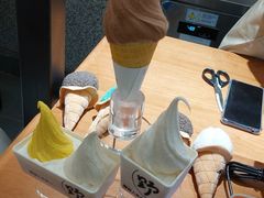 -野人先生Gelato(上海长宁龙之梦店)
