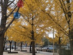 -元大都城垣遗址公园