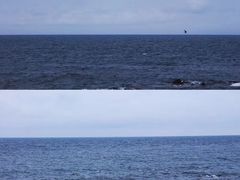 -Cafe Aewol Monsant