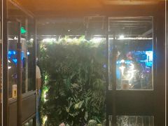 -千寻音乐餐厅