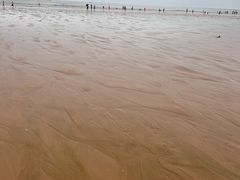 -日照海滨国家森林公园