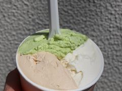 -Dip in Gelato(富民路店)