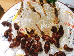 -蒙阴光棍鸡(新石中路店)