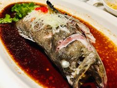 -青雅中餐厅(大连金石滩绿发希尔顿度假酒店)