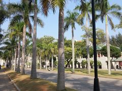 -厦门大学(思明校区)