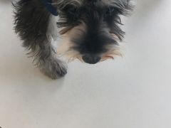 -怪兽屋·羊驼·猫咖·狗咖(俊华广场店)