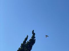 -绿岛公园(滨海新区)