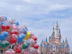 -上海迪士尼度假区