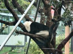 -无锡动物园·太湖欢乐园