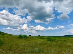 -塞罕坝国家级自然保护区