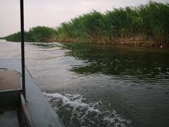 -白洋淀景区