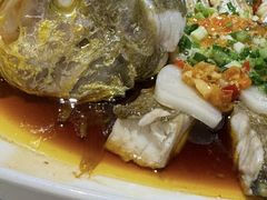 -大鸽饭(马王堆店)