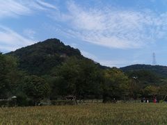 -八卦田遗址公园