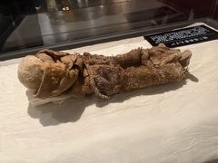 -巴音郭楞蒙古自治州博物馆