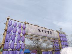 -江苏三台山国家森林公园