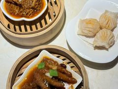 -点都德·毕德寮