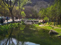 -白水寺森林公园