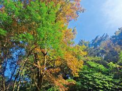 -广州市石门国家森林公园