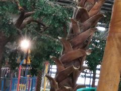 -南宫温泉水世界