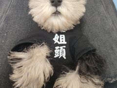 -全心全意动物诊疗中心医院(北苑店)