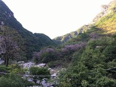 -秦岭风景区