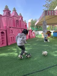 -萌宠亲子动物乐园(槐房万达店)