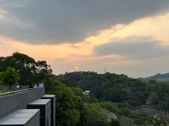 -福道
