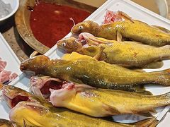 -铭记蛙小仙·活蛙畅享(CBD万达广场店)