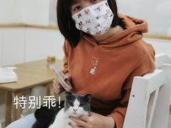 -李小姐の猫咖啡馆(五角场店)