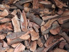 -鹅掂·大岭山烧鹅