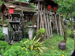 -青城甲(青城山店)