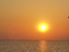 -苏州太湖湖滨国家湿地公园