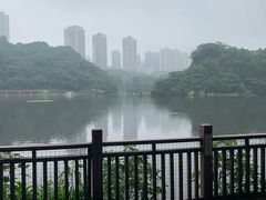 -重庆彩云湖湿地公园