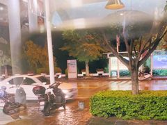 -阿鹏故事野生菌火锅(古城店)