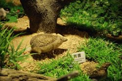 -酷嗒动物文化乐园(cutezoo西溪乐天城店)