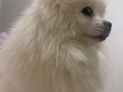 -老佛爷炭火蛙锅直营(清滨路总店)